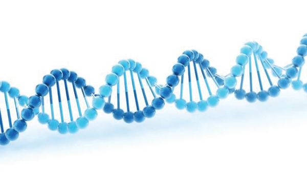 Shakespeare’s sonnets encoded in DNA