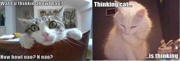 Over-analysing - an Imperial tradition