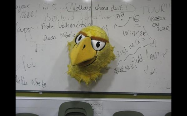 Flight of the Phoenix!