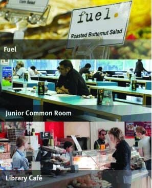 The Mini Food Survey