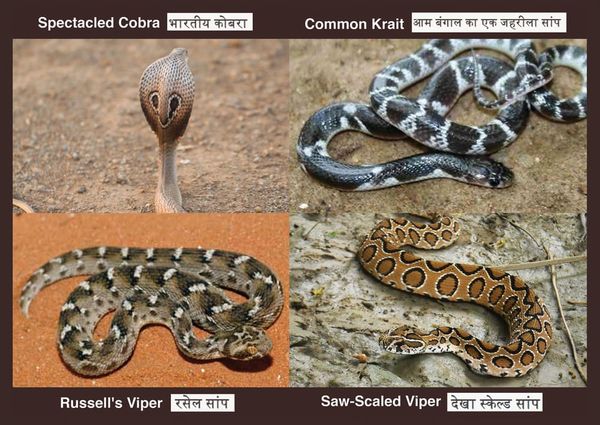 I’m going to make you an offer