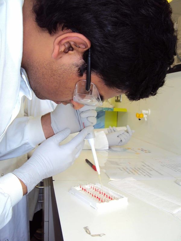 Report raises concerns over educational access