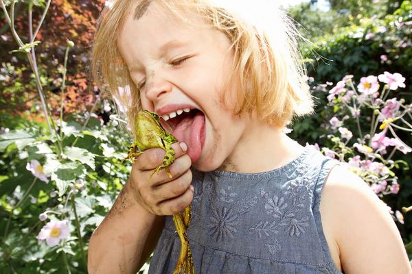 Project Wild Thing - Coming to an Imperial Cinema near you...