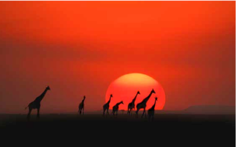 Kenya: What is Next?