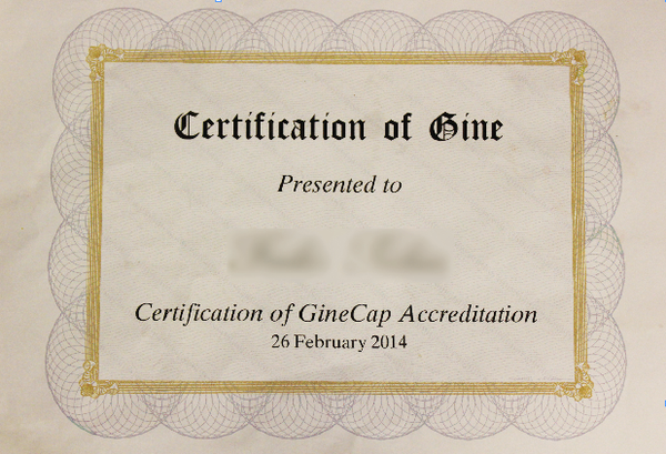 Discovering Miso-gine-soc