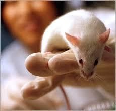 What you missed this summer in science