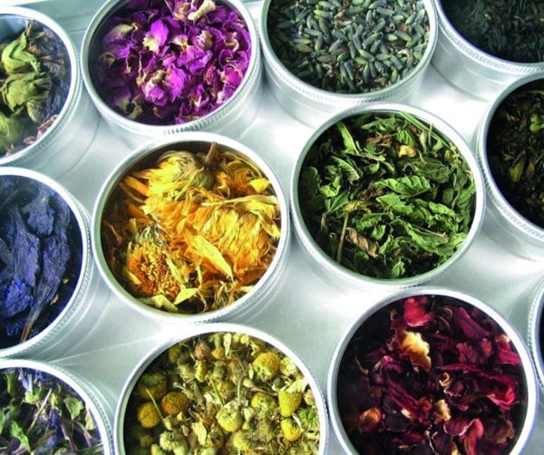 Let’s just get oolong now, shall we?