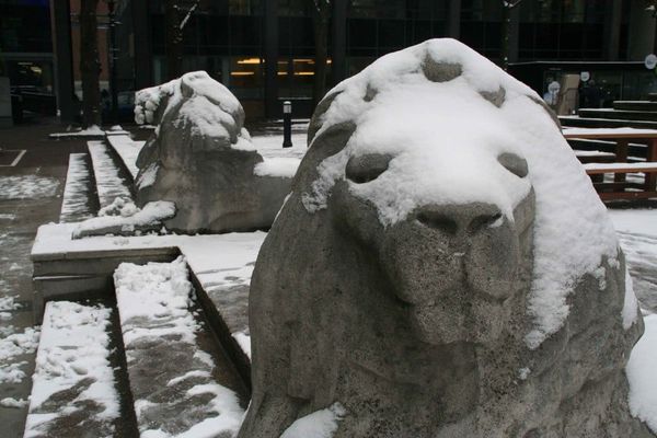 Here’s what you may have missed! Felix wraps up a stellar 2014