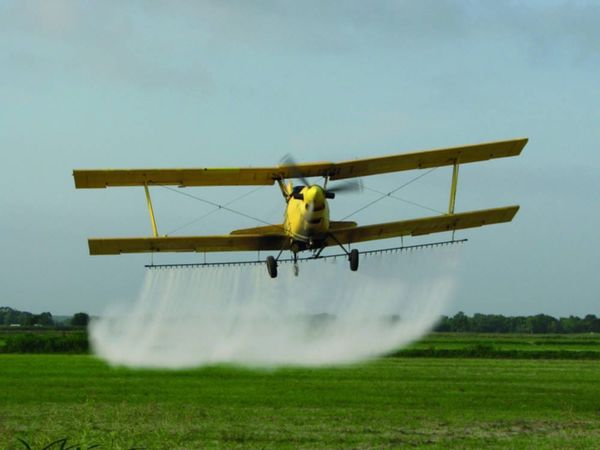 You are what you eat – but where does it come from?