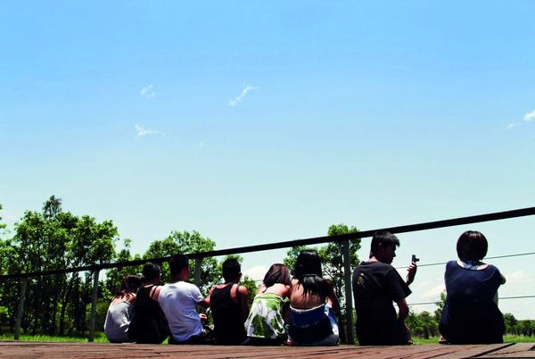 Working Holiday - the substainable and immersive way to travel