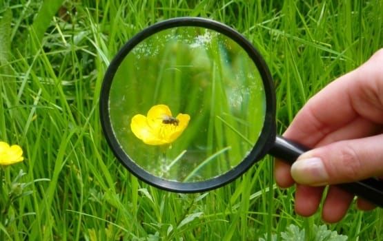 Imperial Citizen Science Project Expands