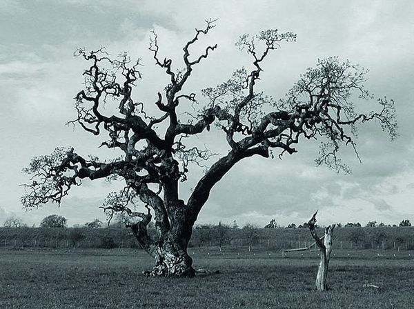 Protomartyr’s return holds no surprises