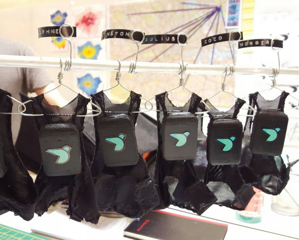 Imperial’s pigeons with pollution-detecting vests