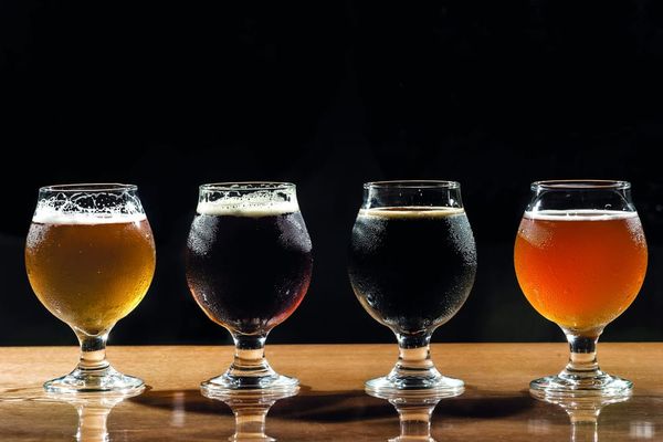 You have bad taste if you like ales
