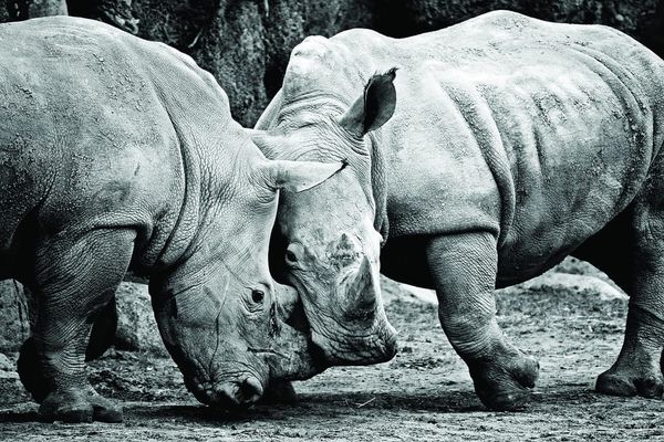 This week’s science picture