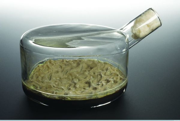 On the verge of a global health crisis