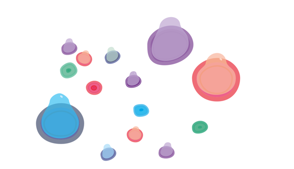 Ten things I hate about you