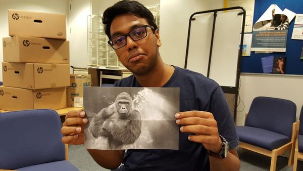 Harambe vigil in Hyde Park