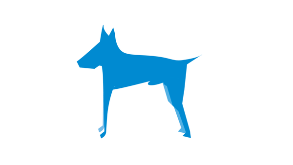 We asked for your sex stories. This is what we got.