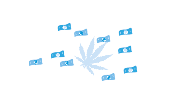 Weed | The politics of legalisation