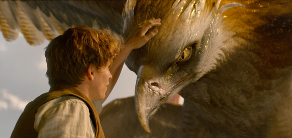 Fantastic Beasts and Where to Find Them