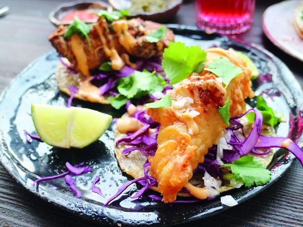 Want some fish in that taco?