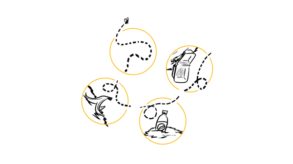 You have no excuse for not recycling