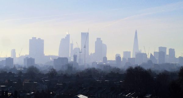 Diesel pollution poses serious risk for asthma sufferers