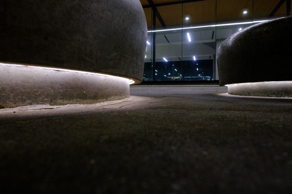 Light Mushrooms