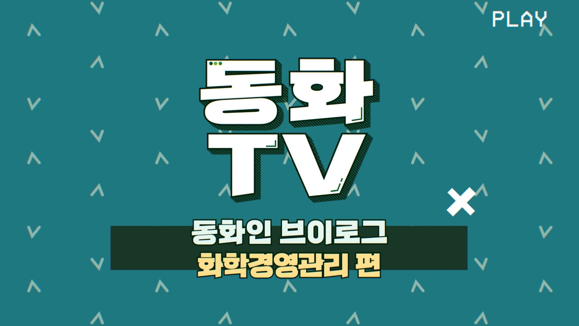 [동화TV] 동화인 브이로그 8탄🍀 동화기업 화학경영관리팀 편