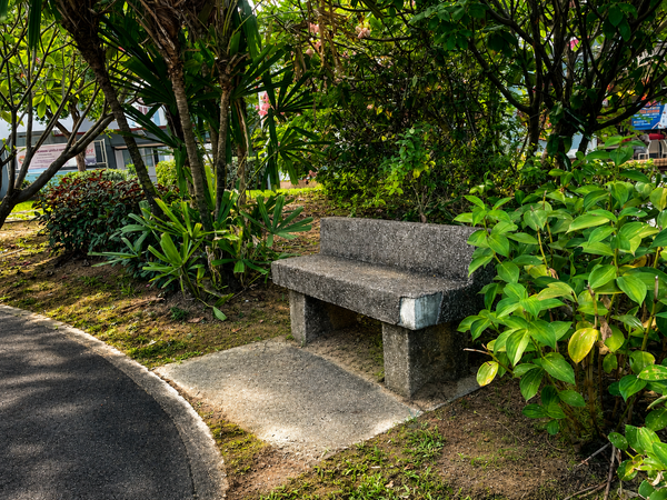 The Bench