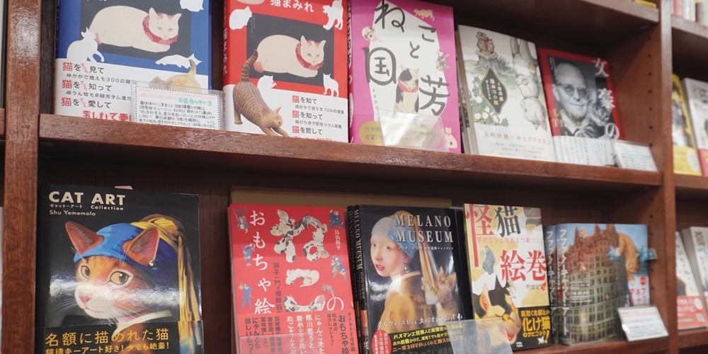 بلیوں کا کتاب گھر