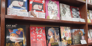 بلیوں کا کتاب گھر