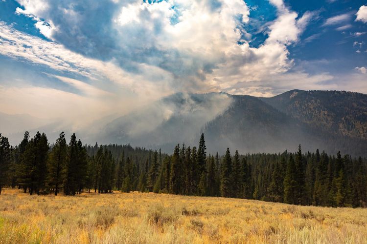 Updates for Saturday - 8/17