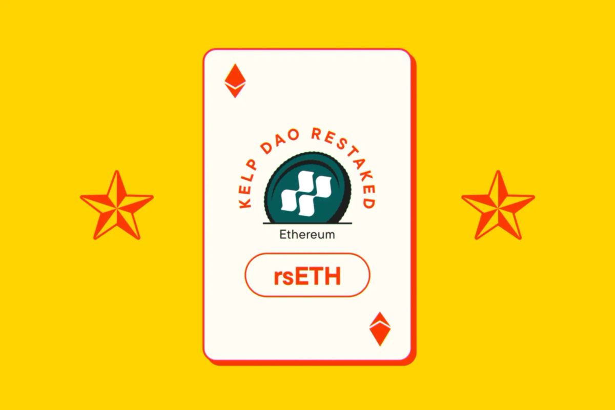 Wheel of Yield Spotlight: Kelp