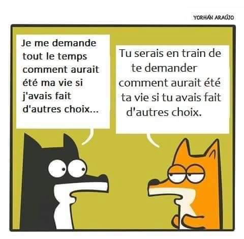 Un chien discute avec un autre: « Je me demande tout le temps comment aurait été ma vie si j'avais fait d'autres choix... » L'autre répond: « Tu serais en train de te demander comment aurait été ta vie si tu avais fait d'autres choix. »