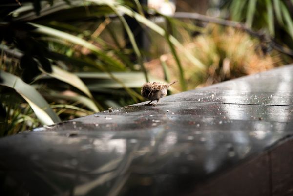 Suggestions for assessing our carbon footprint