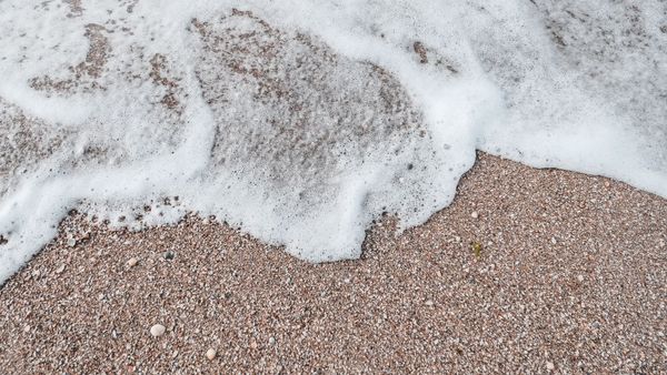 Futur créatif – Le Flow #75