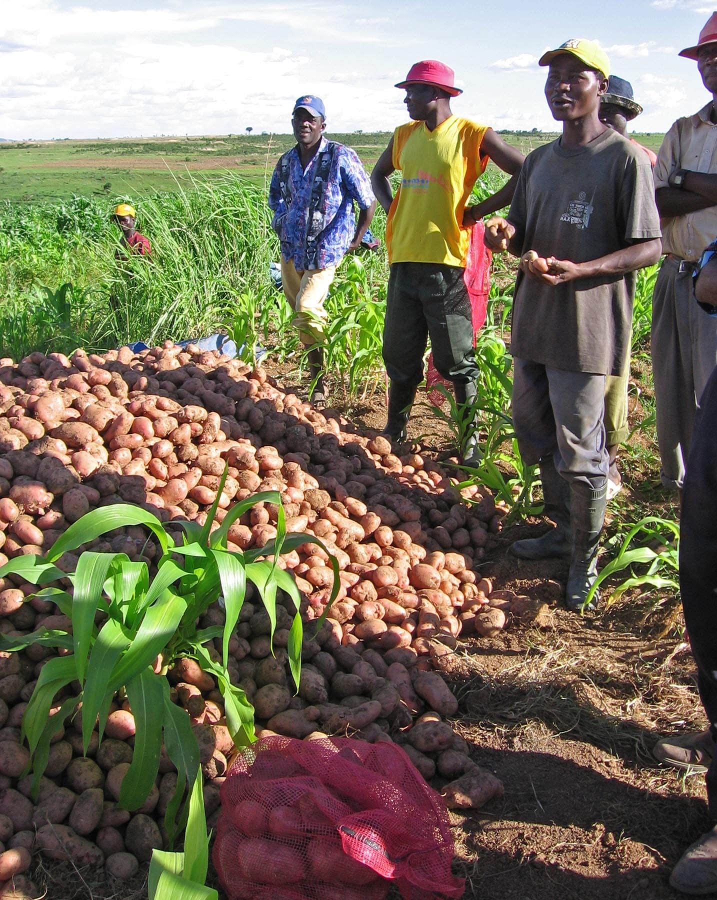 Brasil e Angola no agro: protocolo assinado, financiamento ainda em aberto