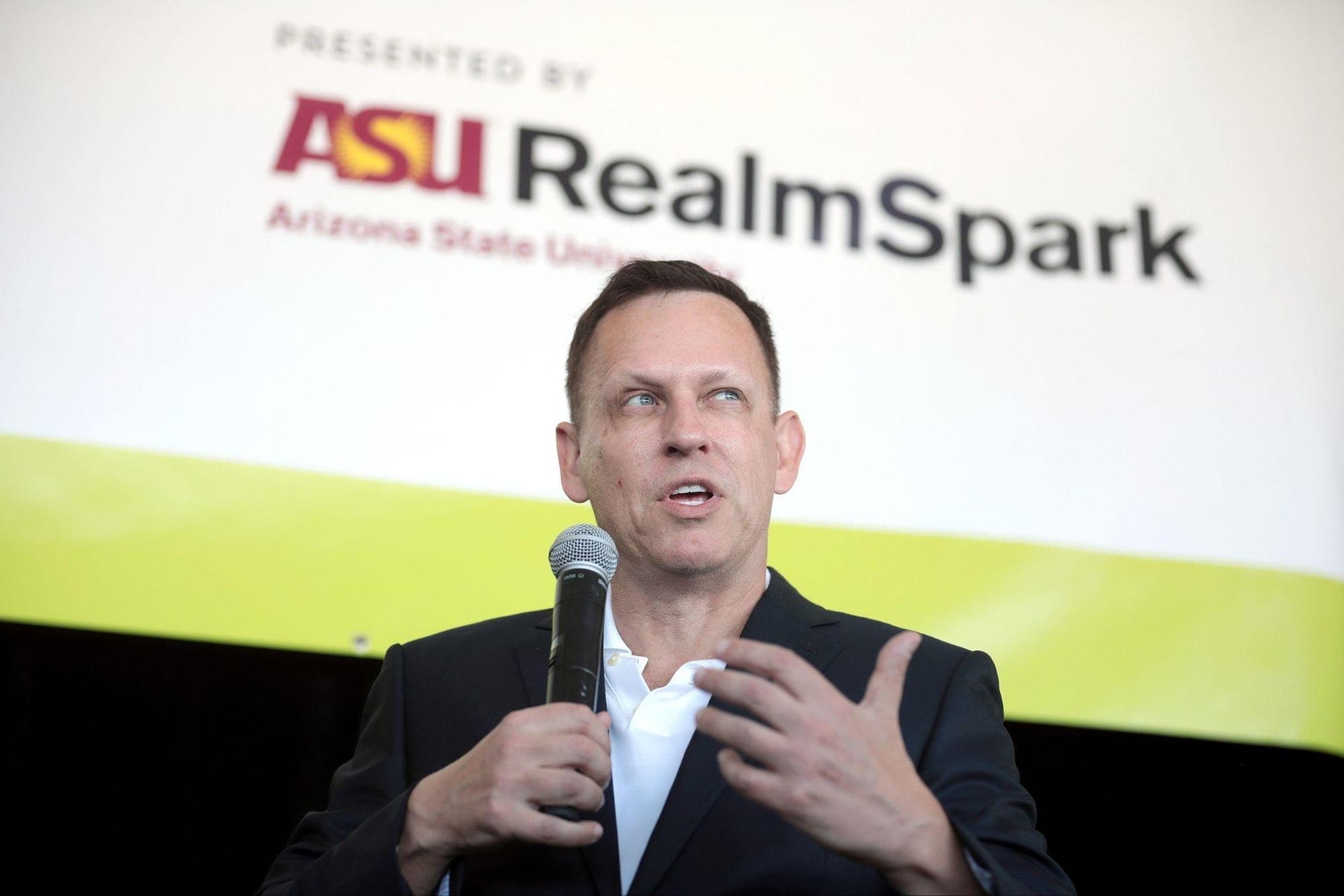 Silicon Valley crusader Peter Thiel