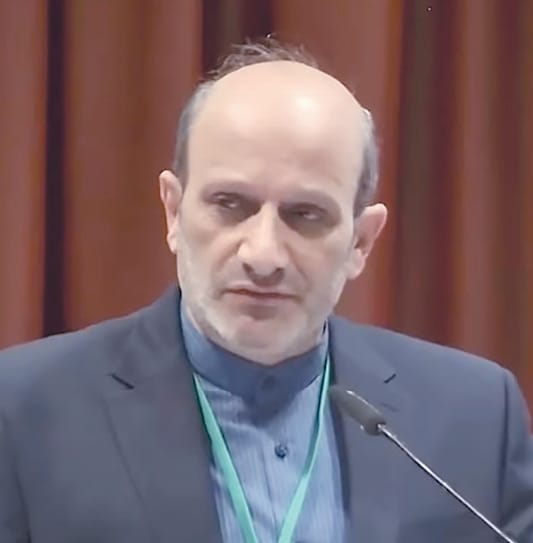 Ambassador Majid Nili