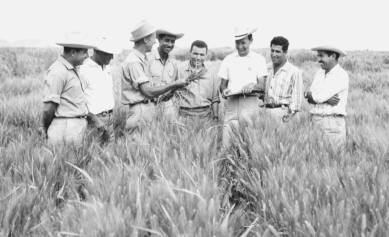 Dr. Norman Borlaug (1914-2009) teaching young trainees in a field in Sonora.