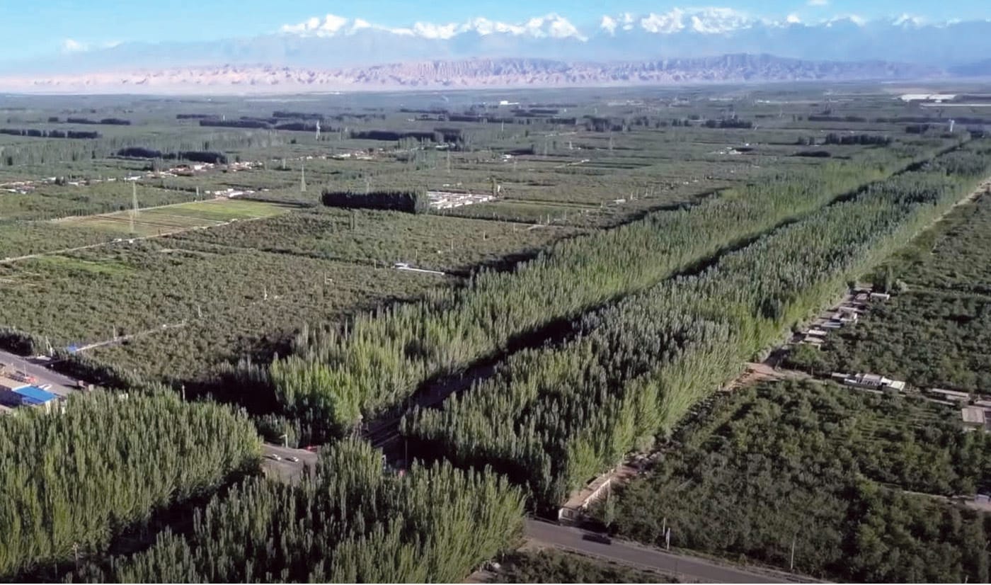 Kekeya afforestation project, a man-made green wall designed to combat desertification in Aksu, Xinjiang, China.