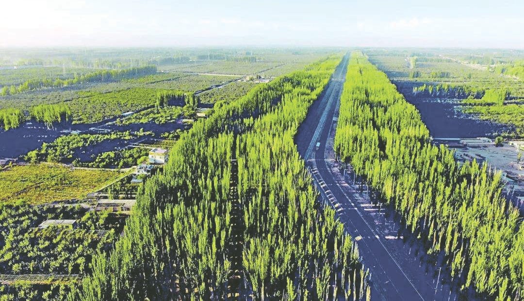 Greening of the desert in Aksu, a prefecture in Xinjiang Province. On the edge of the Taklamakan Desert in China’s northwestern region, it grew from a desert to 77,000 hectares of reforestation in 2017.