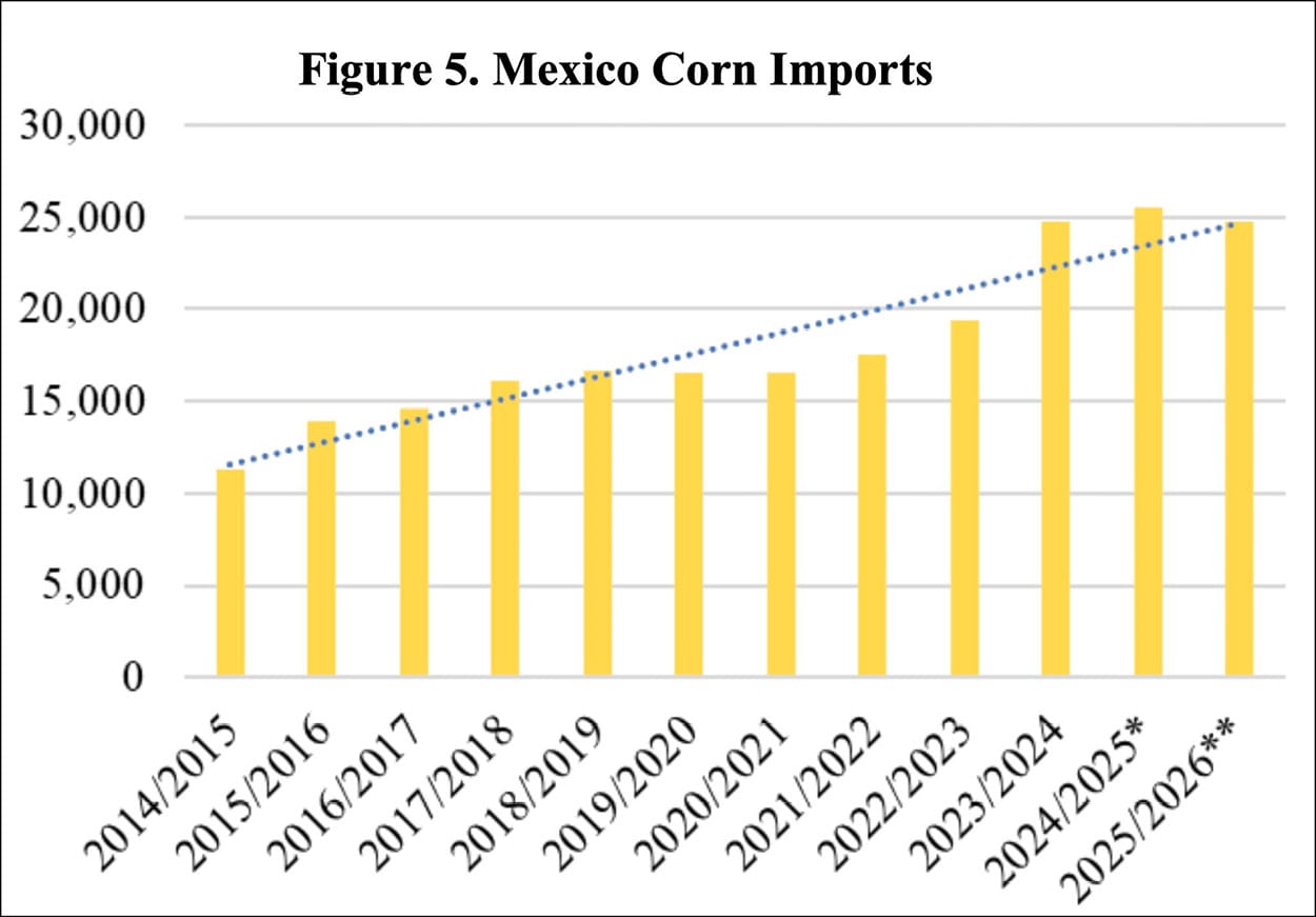 The volume of Mexico’s annual corn imports, mostly from the United States, has risen from 10 million metric tons to 25 million over a decade, now constituting nearly half of Mexico’s consumption.