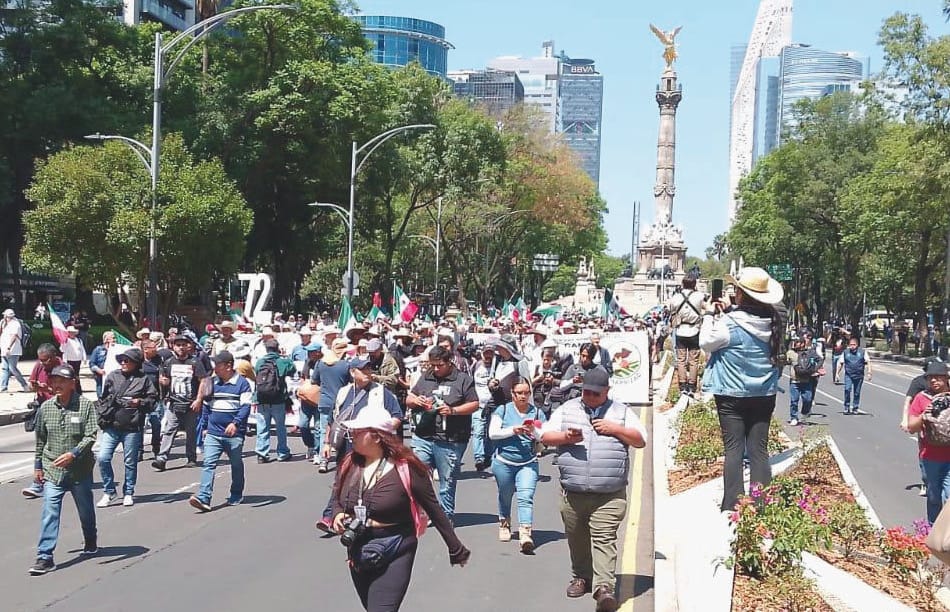 Farmers rally in Mexico City