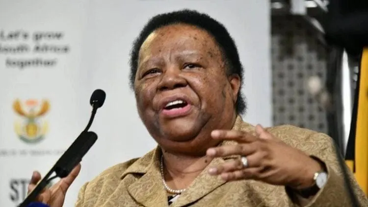 South African Foreign Minister Says Africa Still Being Short-Changed by Economic Superpowers