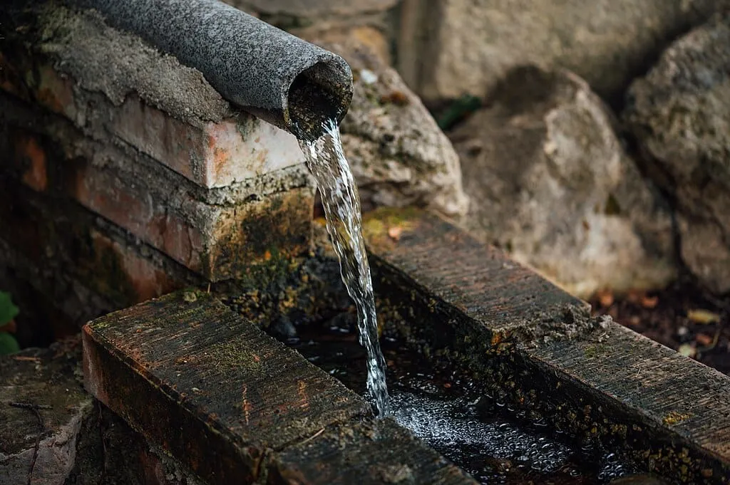 The Glass Half Full, or How To Conquer Cynicism