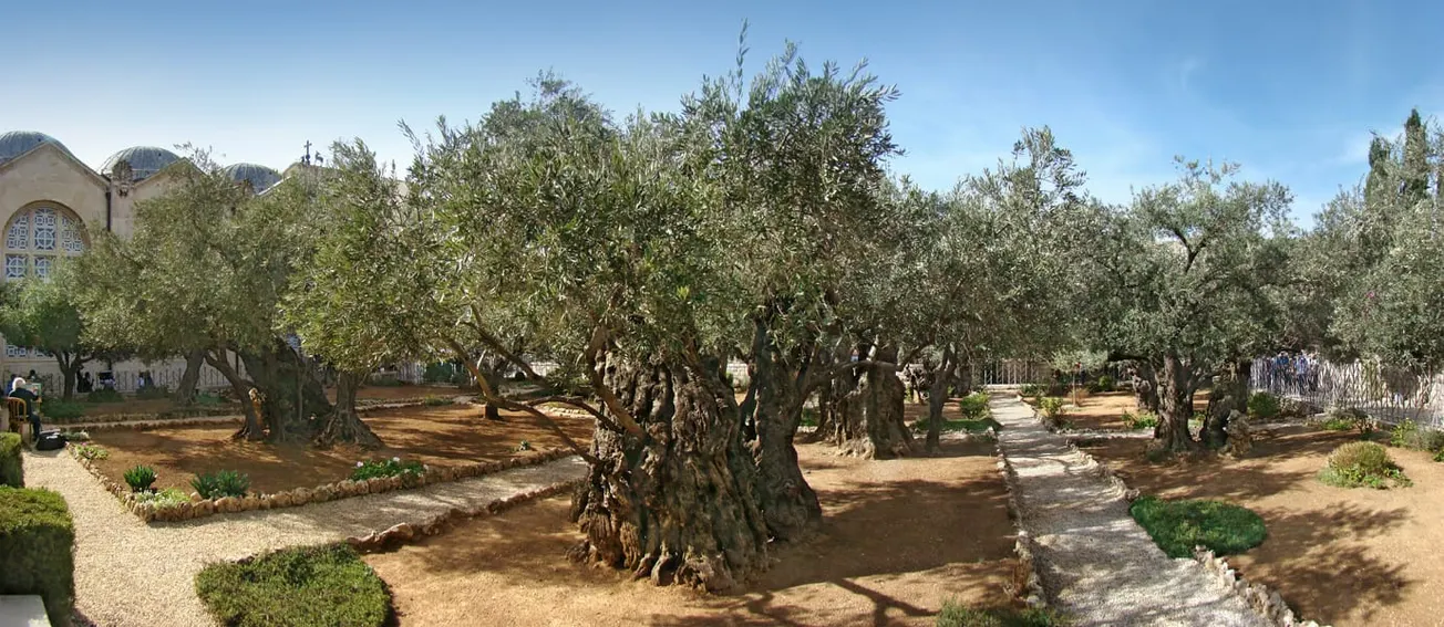 Gethsemane and Gaza