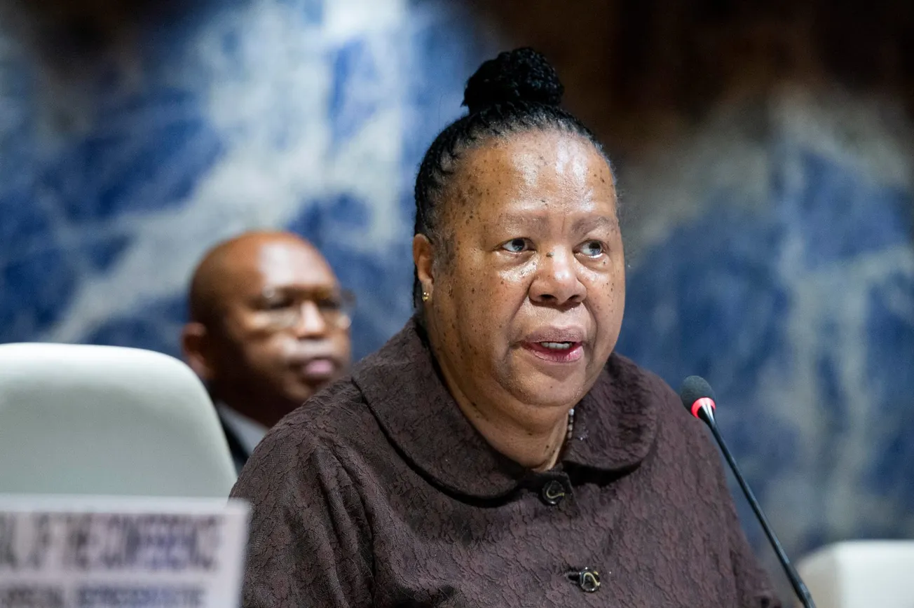 Mexican Journalists' Site Posts Schiller Institute Release on Pandor, Zepp-LaRouche Exchange